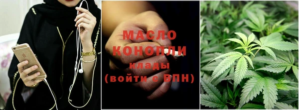 индика Осинники