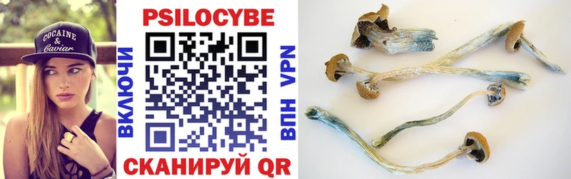 дарнет шоп  Ясный  Псилоцибиновые грибы Magic Shrooms 